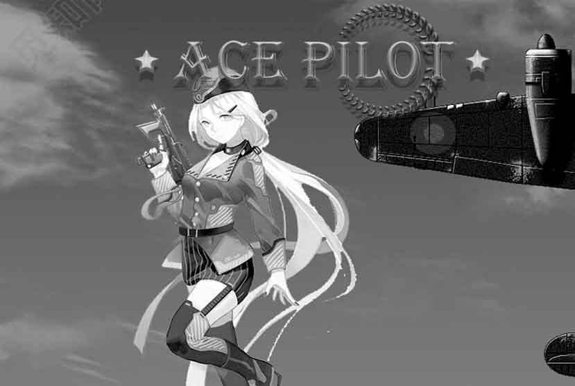 Ace Pilot Free Download
